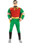 Rubies at Party City Men's Deluxe Robin Muscle Chest Costume