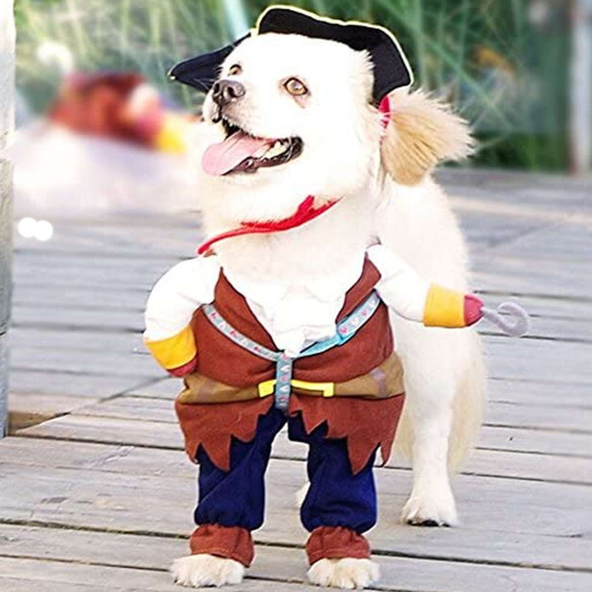 Pet Dog Cat Cowboy & Pirate Funny Halloween Puppy Party Costume Clothes S M L XL Halloween Fast