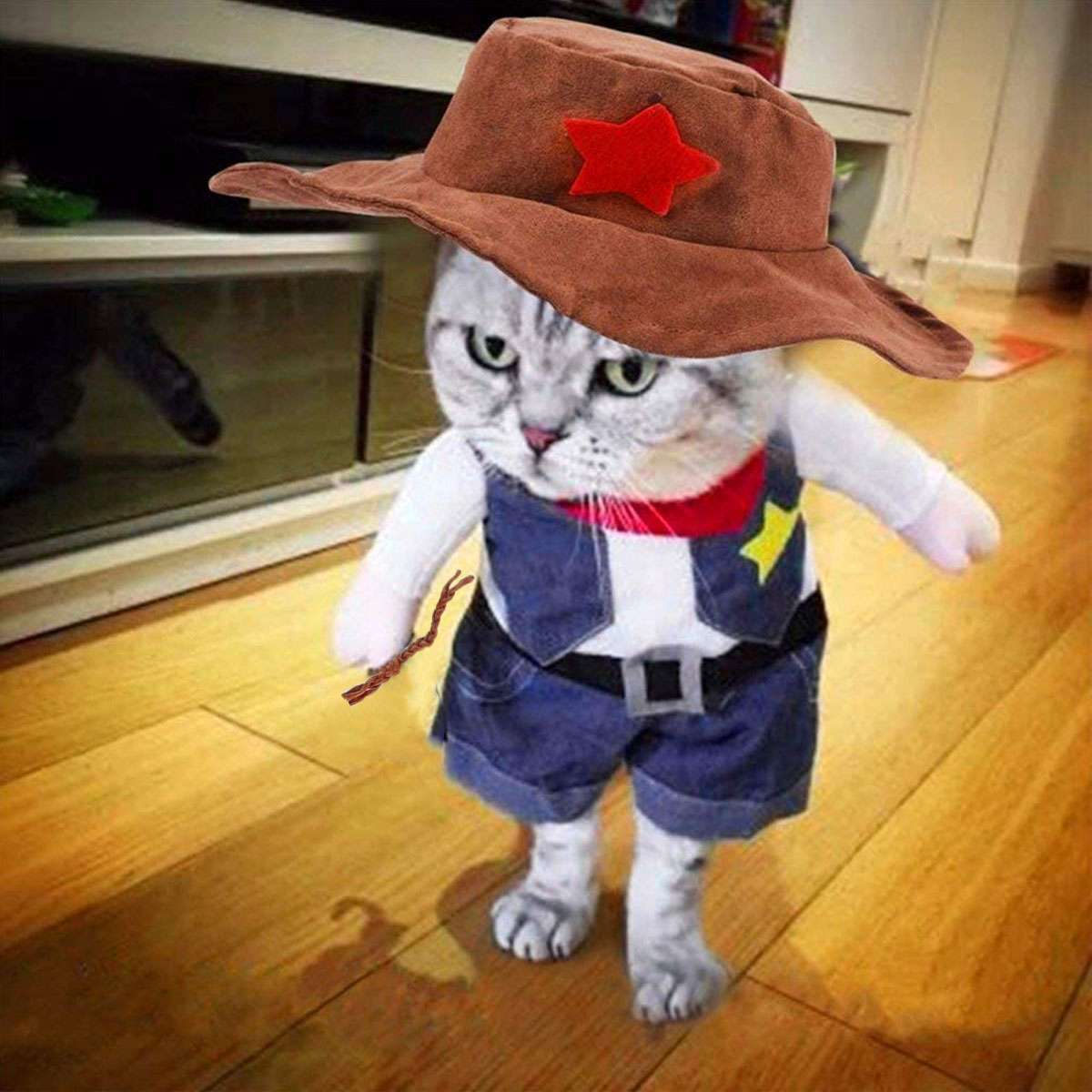 Pet Dog Cat Cowboy & Pirate Funny Halloween Puppy Party Costume Clothes S M L XL Halloween Fast
