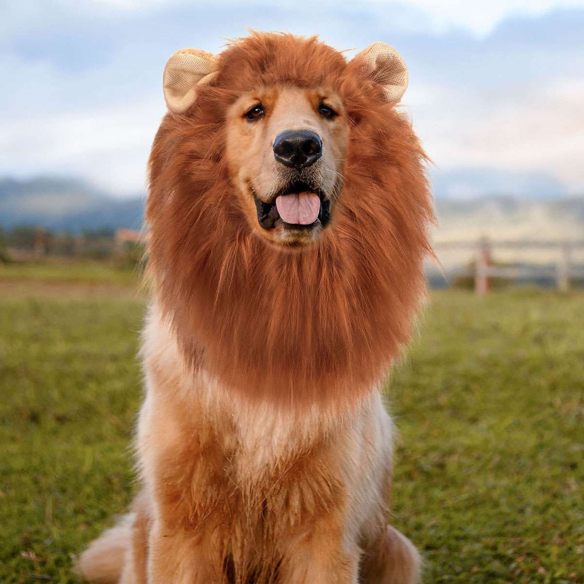 Funny Cute Lion Mane Costume Headgear for Cat Dog Pet Clothes Dress Party USA Halloween Fast