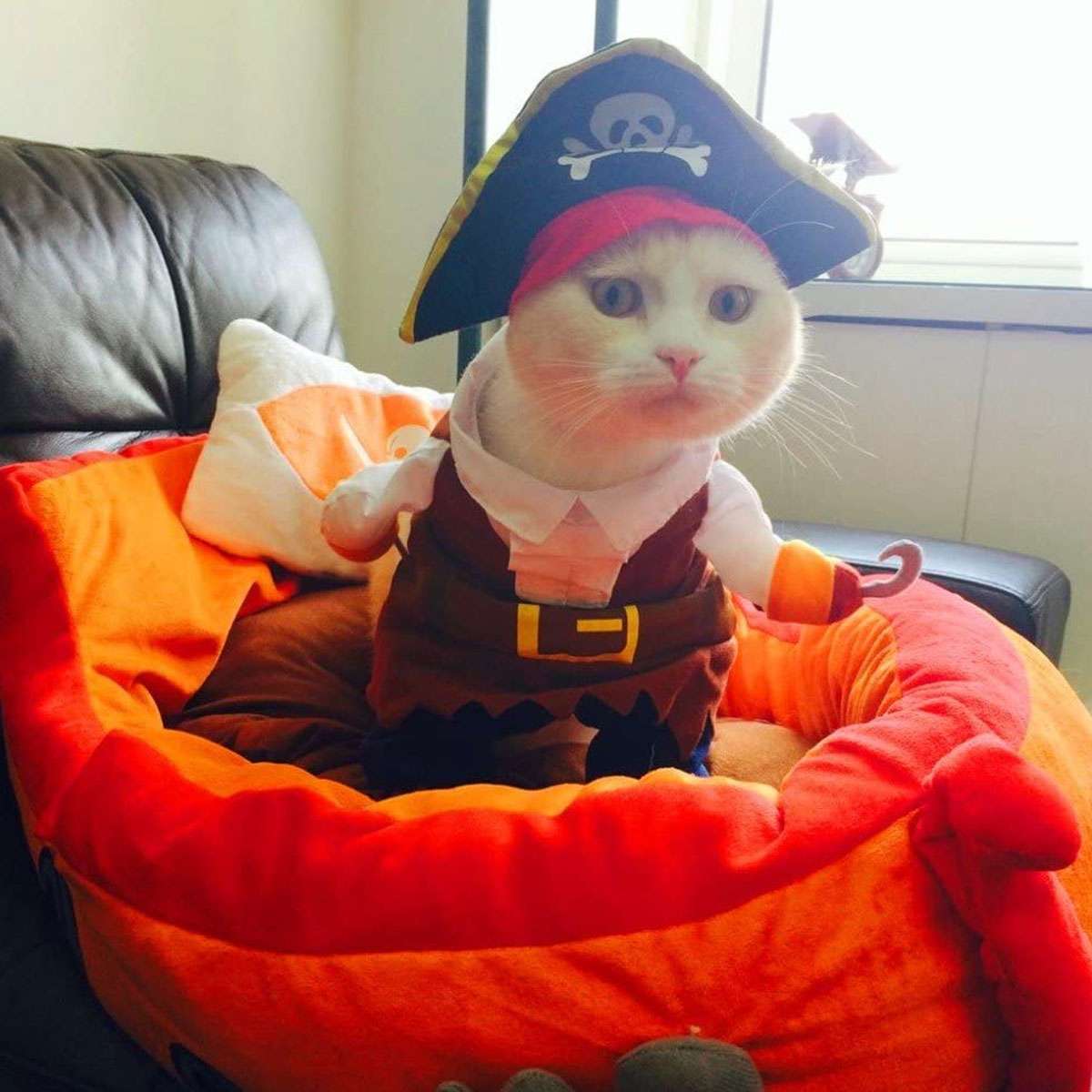 Pet Dog Cat Cowboy & Pirate Funny Halloween Puppy Party Costume Clothes S M L XL Halloween Fast
