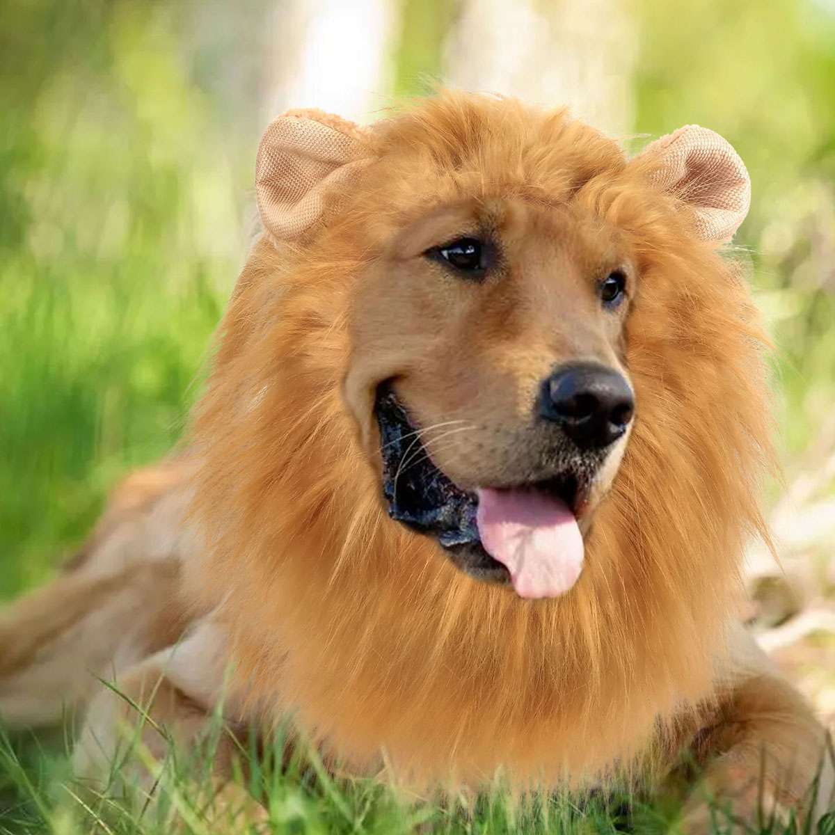 Funny Cute Lion Mane Costume Headgear for Cat Dog Pet Clothes Dress Party USA Halloween Fast