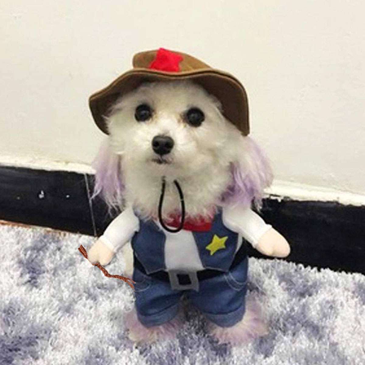 Pet Dog Cat Cowboy & Pirate Funny Halloween Puppy Party Costume Clothes S M L XL Halloween Fast